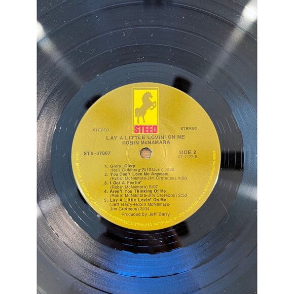 Robin McNamara "Lay A Little Lovin' On Me" Vinyl LP - Groovy Vibes  STS-37007 - Picture 5 of 6